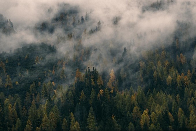 clouds hovering above a forest of trees