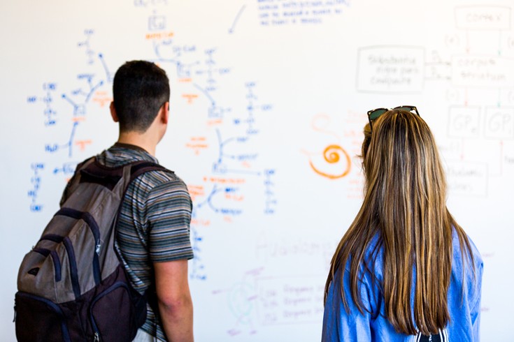 two students looking at a whiteboard